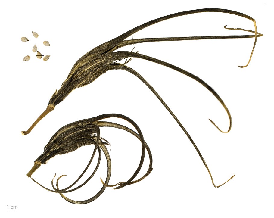 Мини экскаватор Kobelco sk025