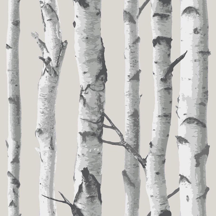 White birch