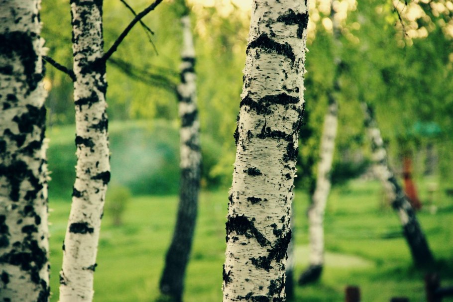 Берещенье народный праздник