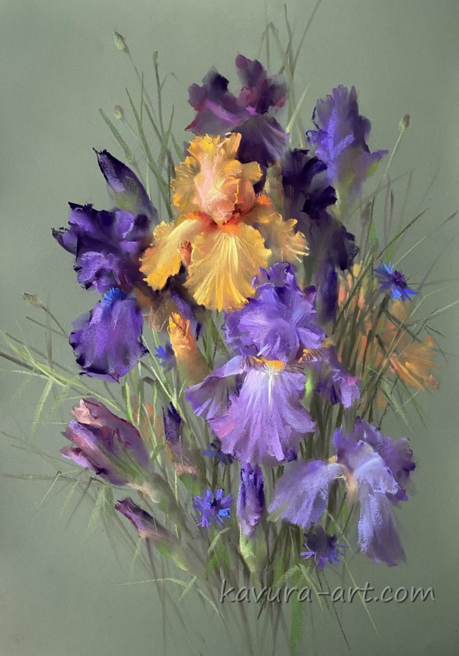 Касатик сизоватый