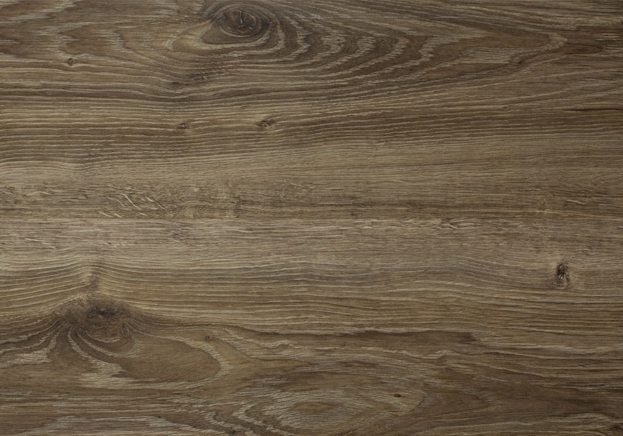 Дуб ливанский фото и описание