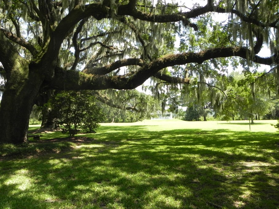 Harry p leu gardens флорида