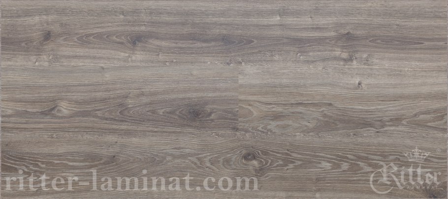 Бук Крымский дерево