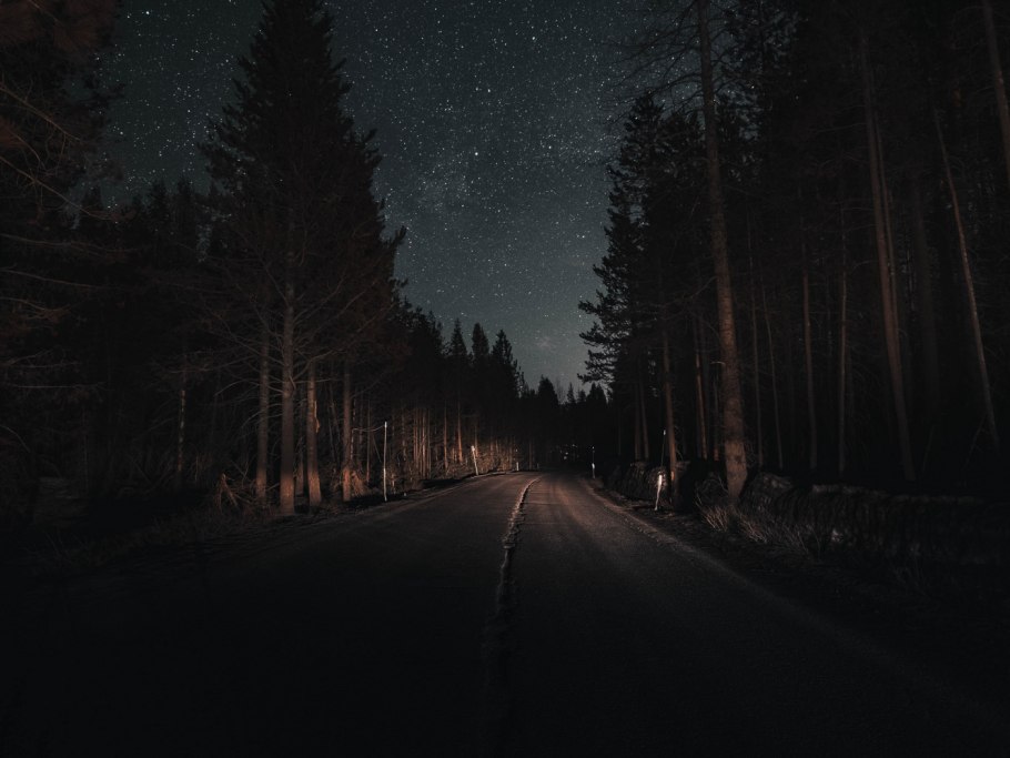 Человек в лесу ночью