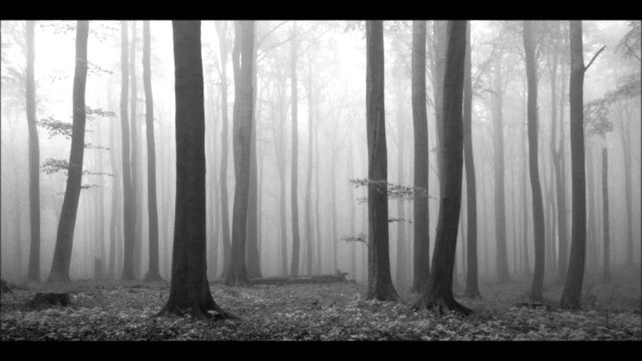 Печальный лес