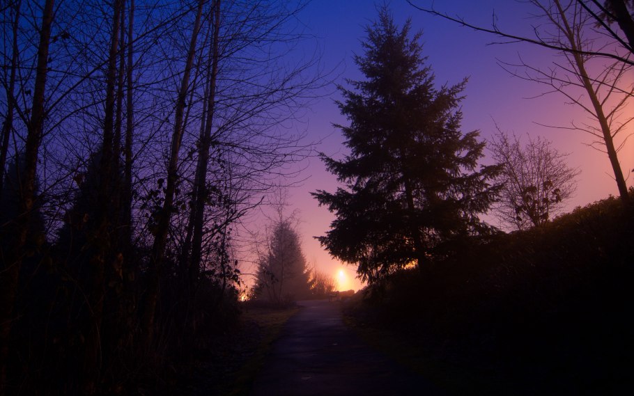 Рассвет в тайге