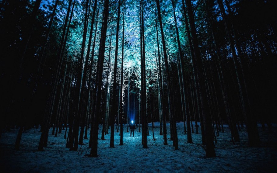 Страшный лес