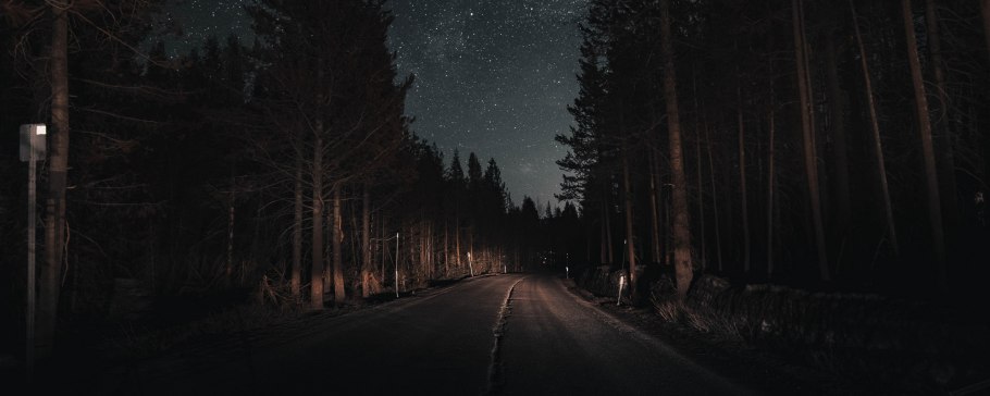 Ночная трасса в лесу