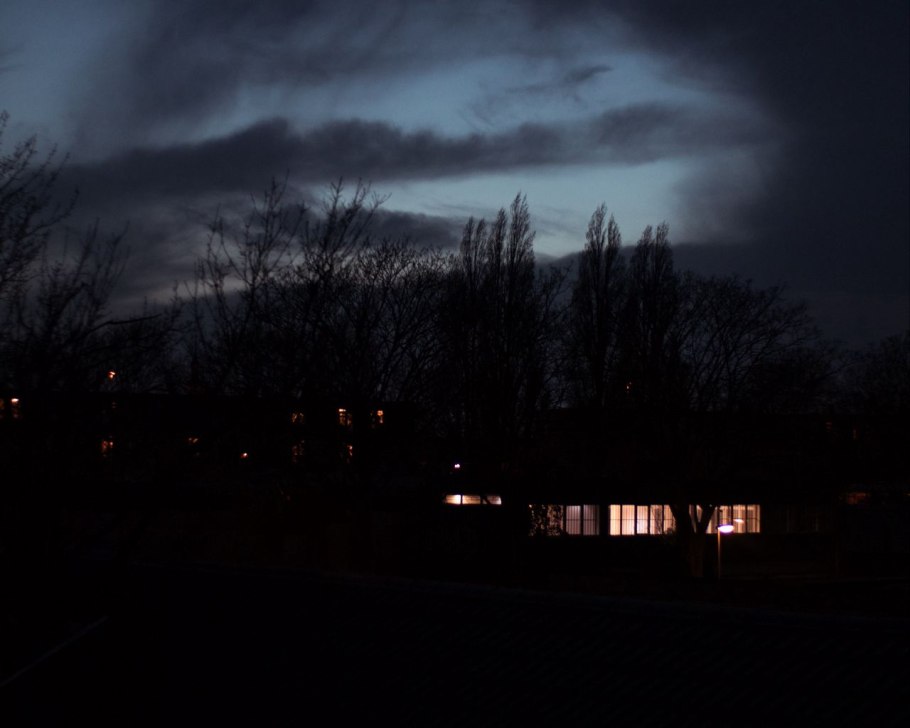 Огонек в темном лесу