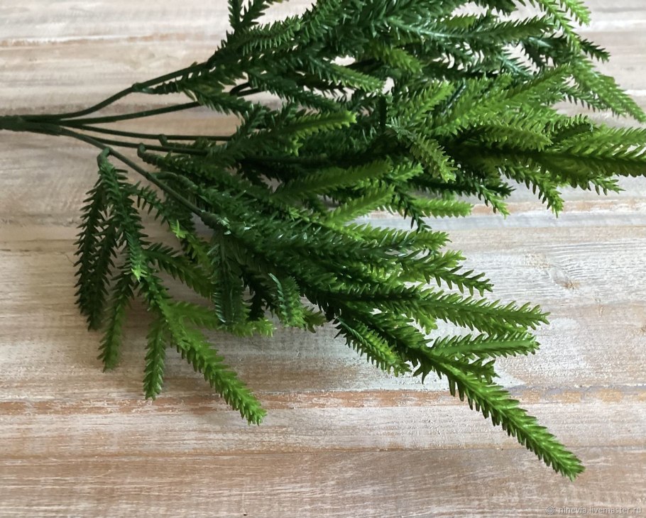 Селагинелла Мартенса