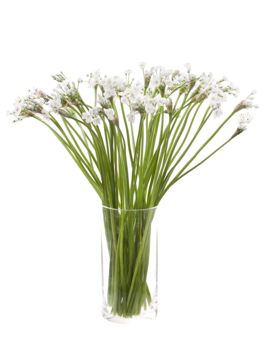 Искусственные цветы гипсофила