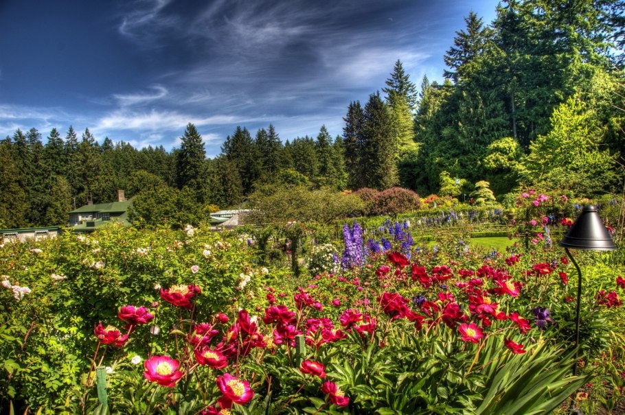 Butchart Gardens, Канада розарий