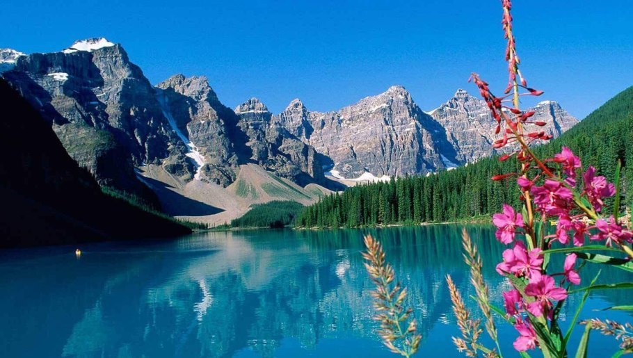 Национальный парк Банф растительность