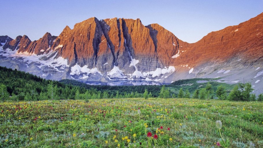 Горы река цветы