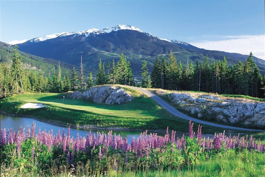 Растительный мир в Банф Канада