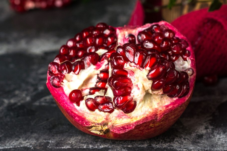 Punica protopunica Balf в разрезе