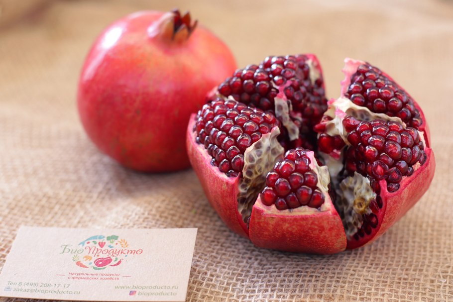 Гранат сокотранский цветок