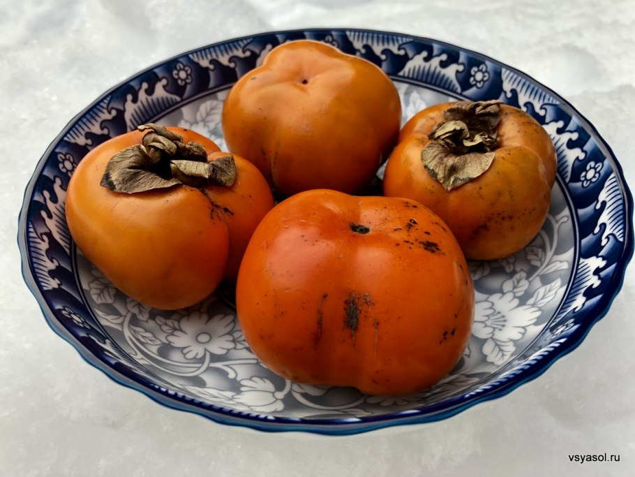 Хурма мушмуловидная