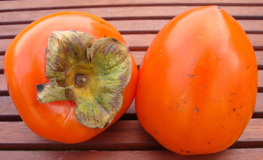 Хурма Султан