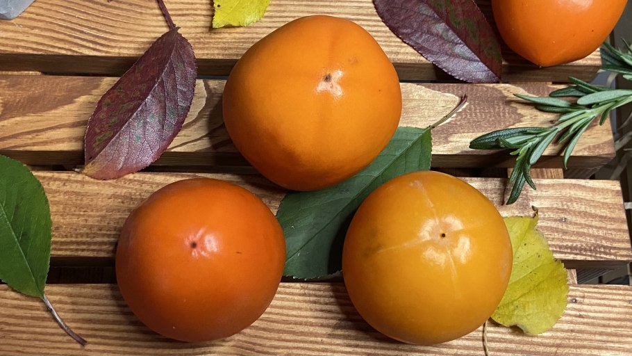 Хурма сорт шарон