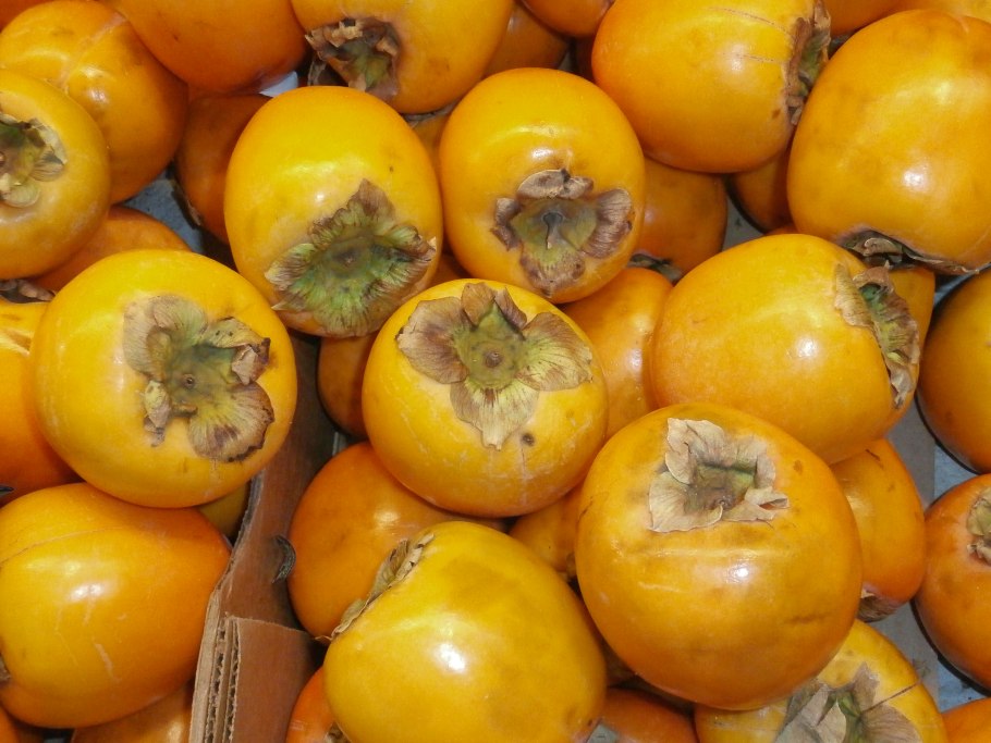 Зеленая хурма сорт