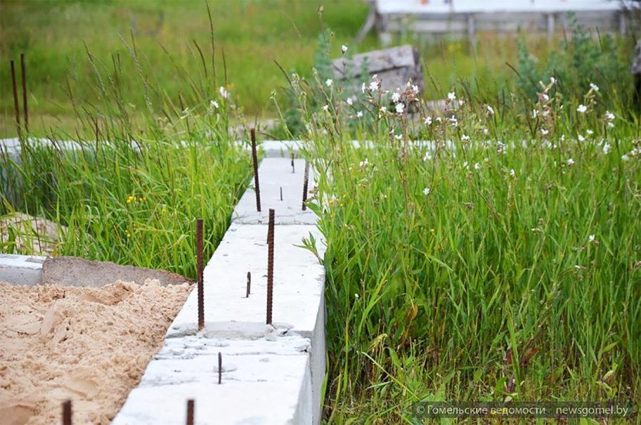 Эдельвейс принт