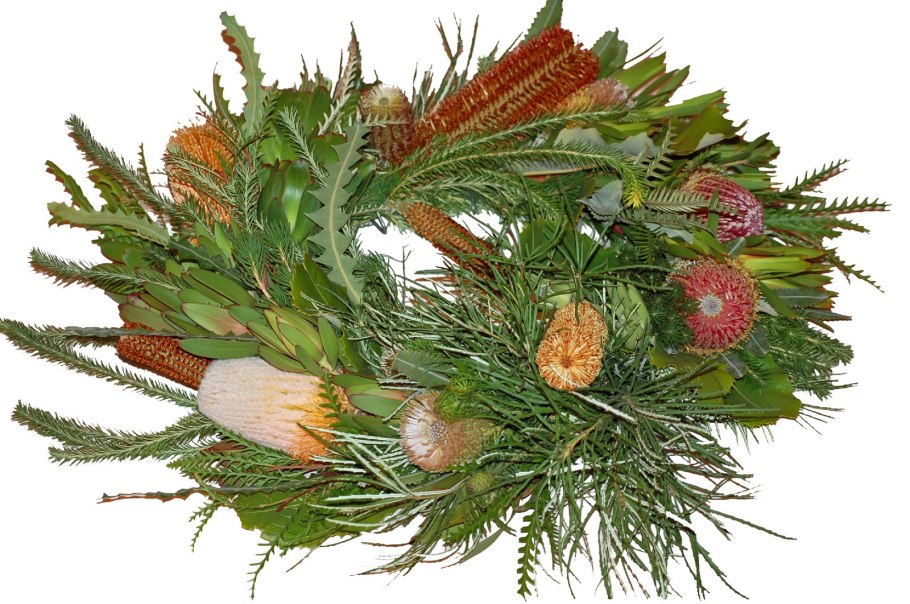 Банксия фиолетовая