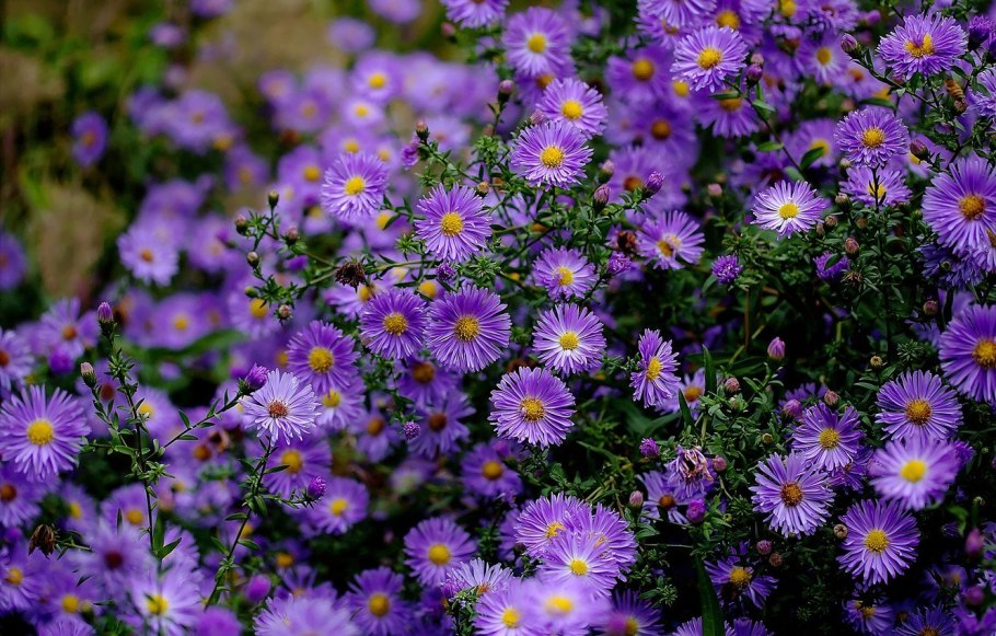 Сентябринки октябринки