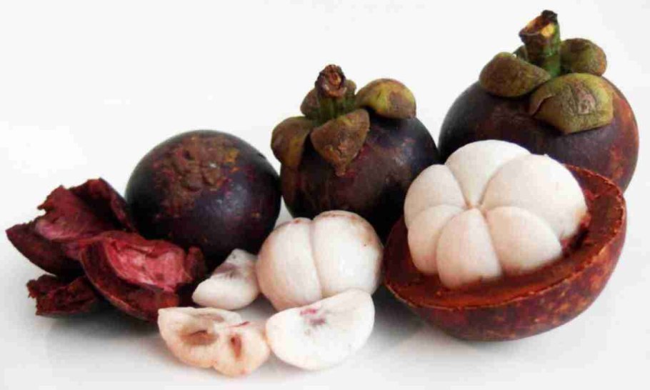 Тропический фрукт мангостин