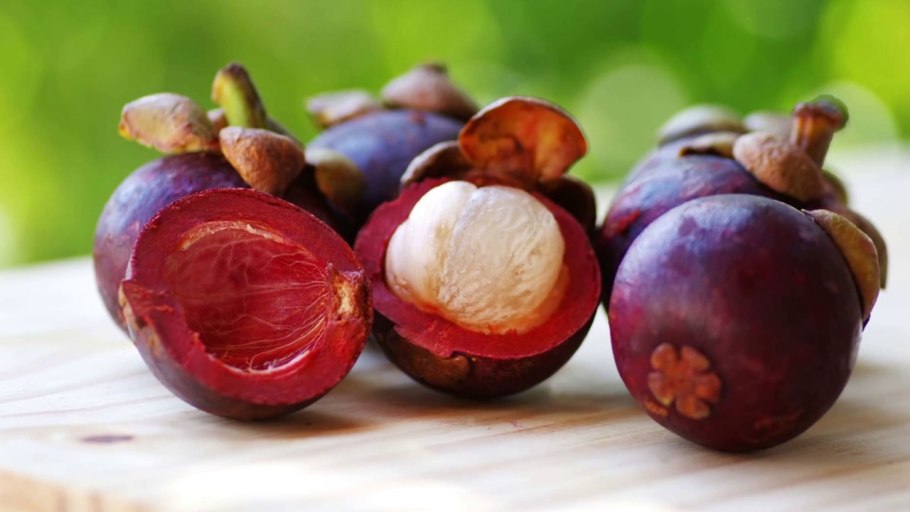 Мангостин мангостан