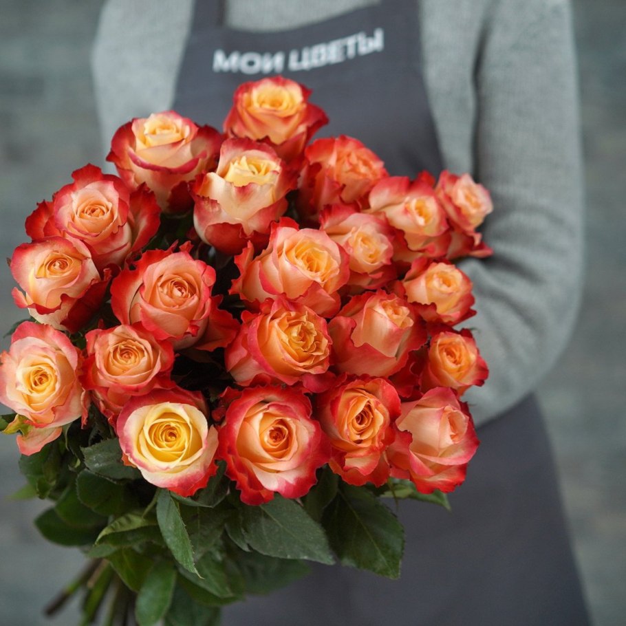 Роза эквадор кабарет