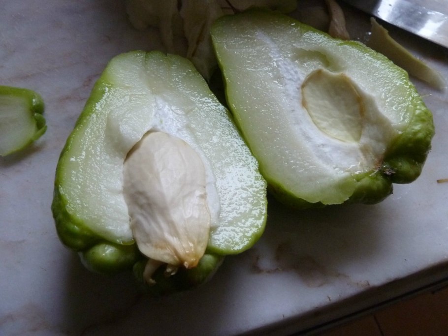 Чайот мексиканский огурец