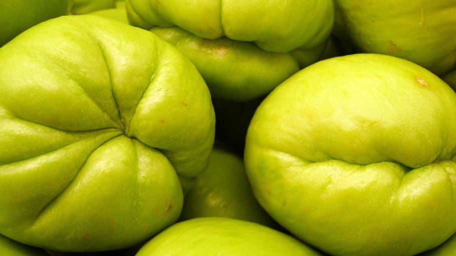 Мексиканский овощ чайот