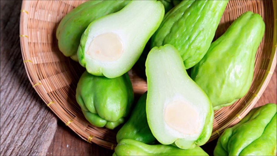 Колючий чайот