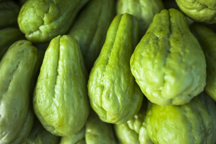 Мексиканский овощ чайот