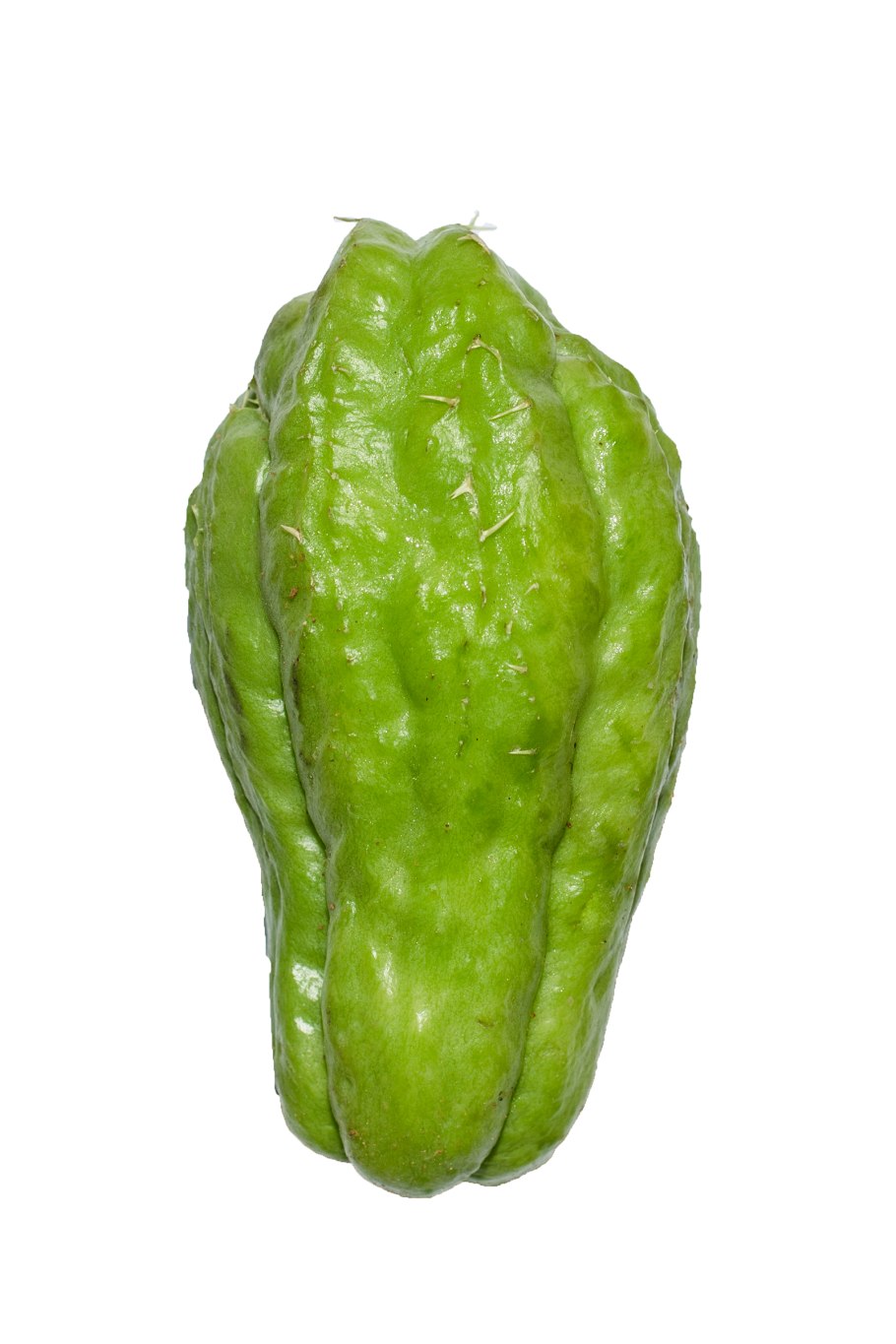 Фрукт чайот