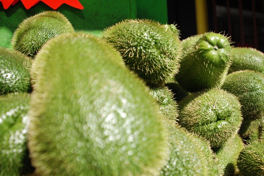Prickly chayote