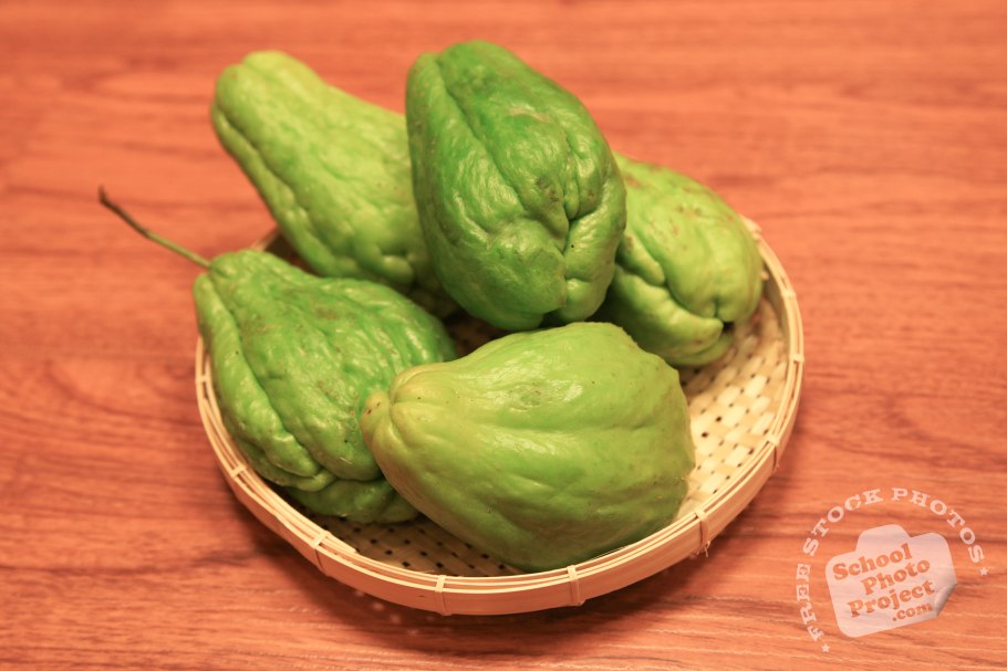 Чайот мексиканский