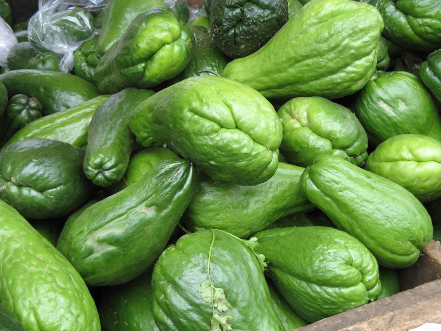 Чайот съедобный