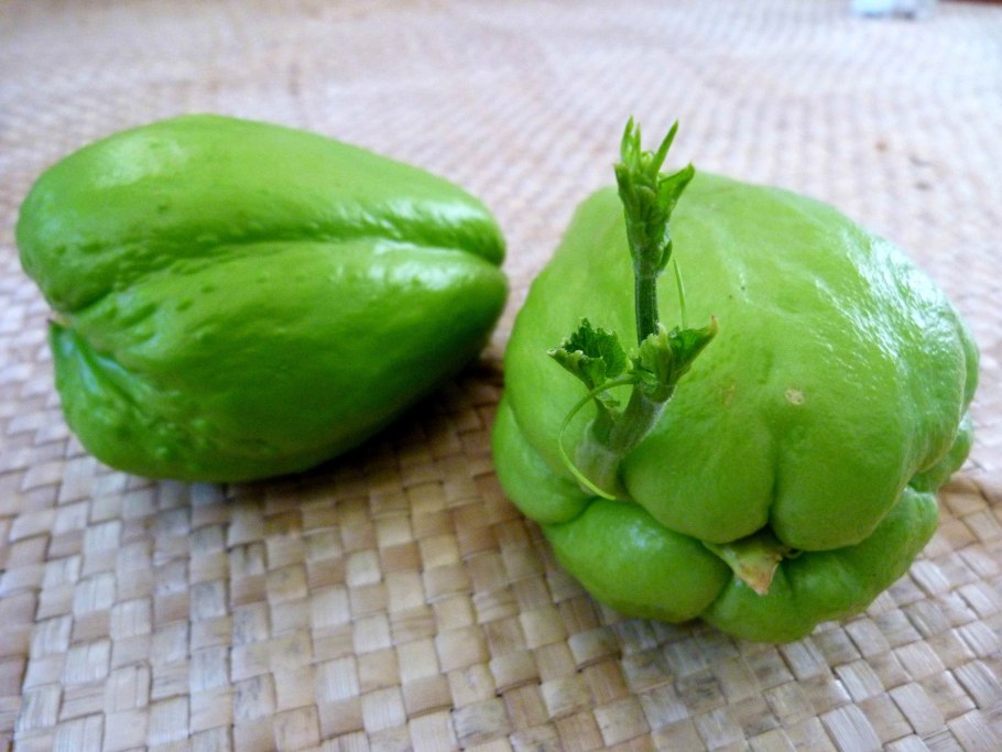 Чайот мексиканский огурец