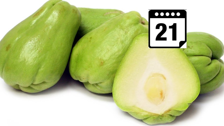 Чайот цветение