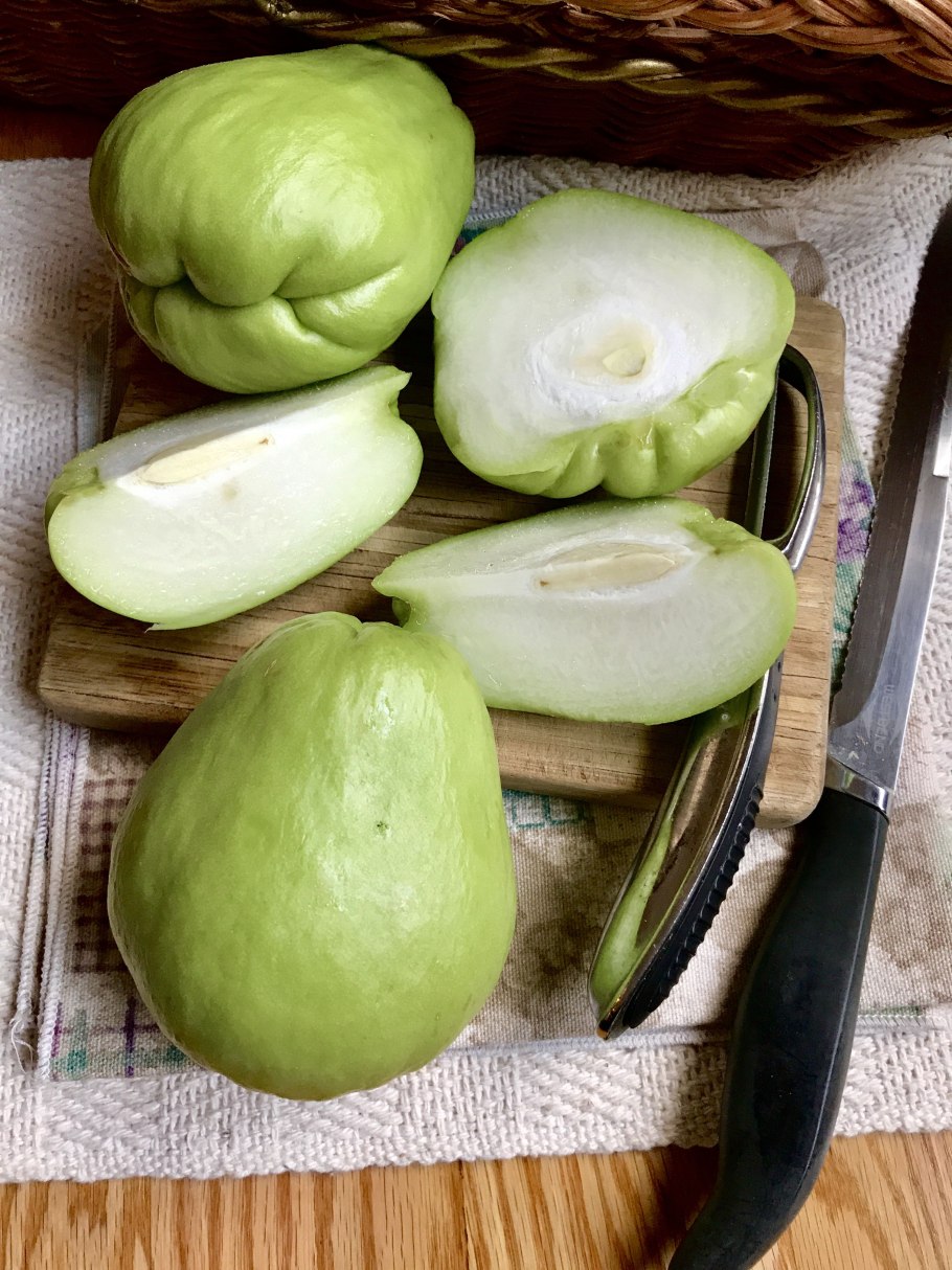 Чайот съедобный