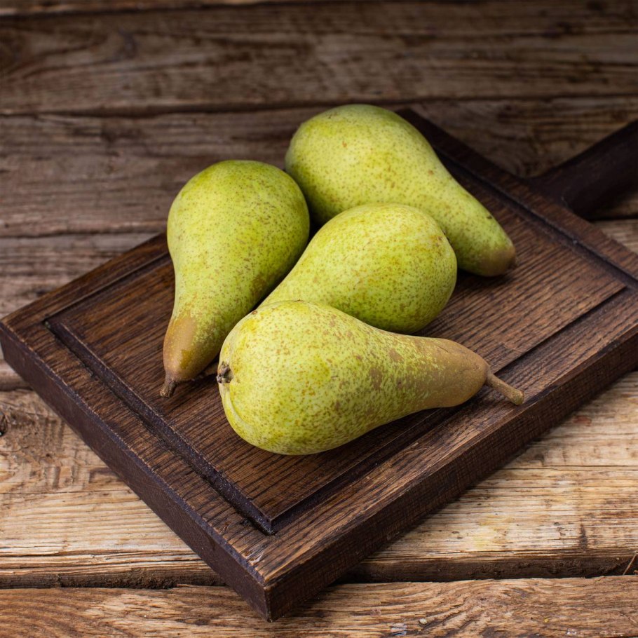 Pyrus pyrifolia 'Nijisseiki' -