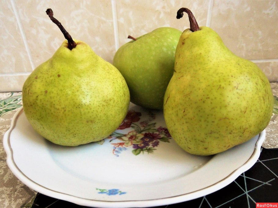 Груша Бессемянка дерево