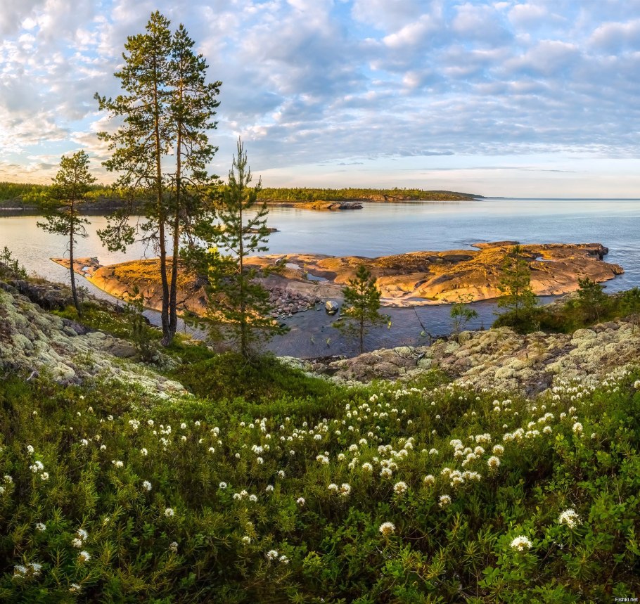 Природа карелии ладожское озеро