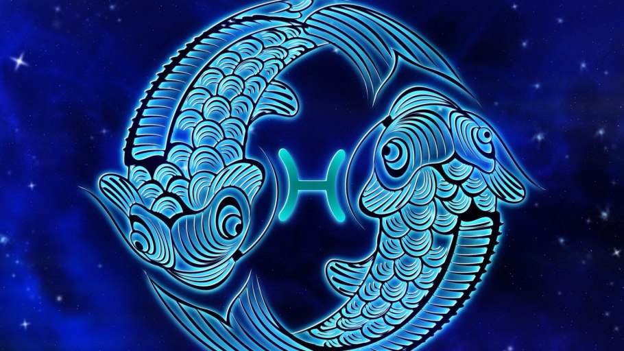 Знаки зодиака видео картинки