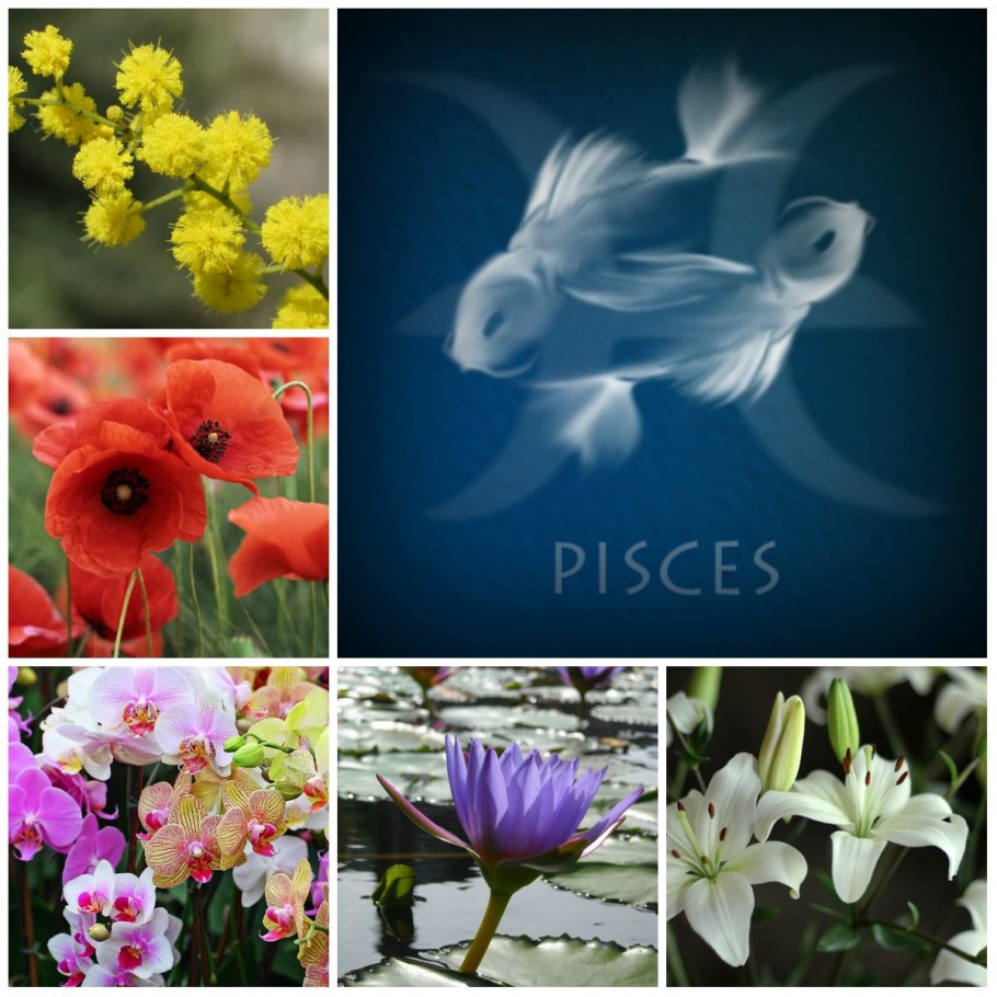 Цветок рыб Зодиак