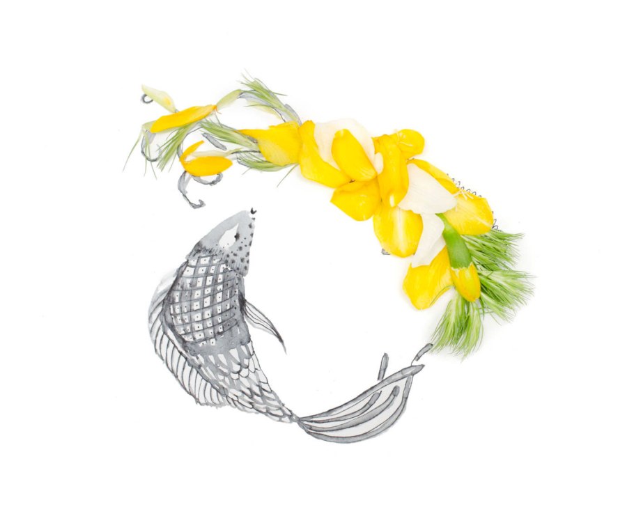 Знаки зодиака "рыбы"