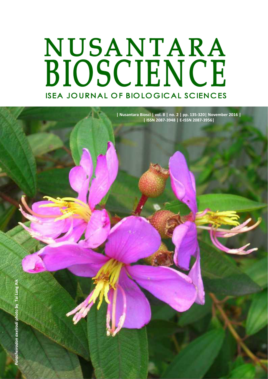 Диссотис круглолистный