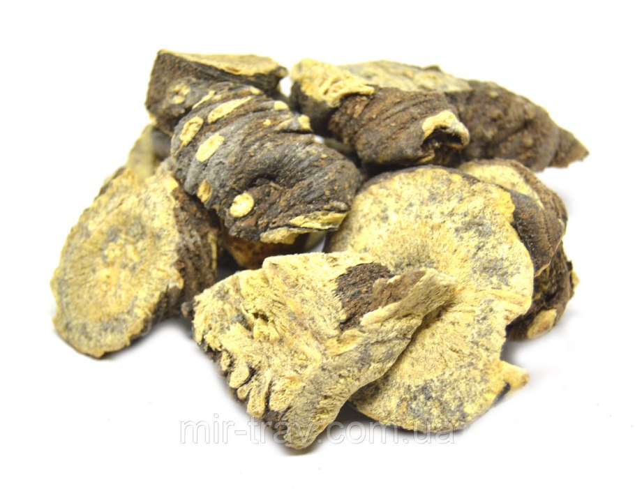 Ферула джунгарская